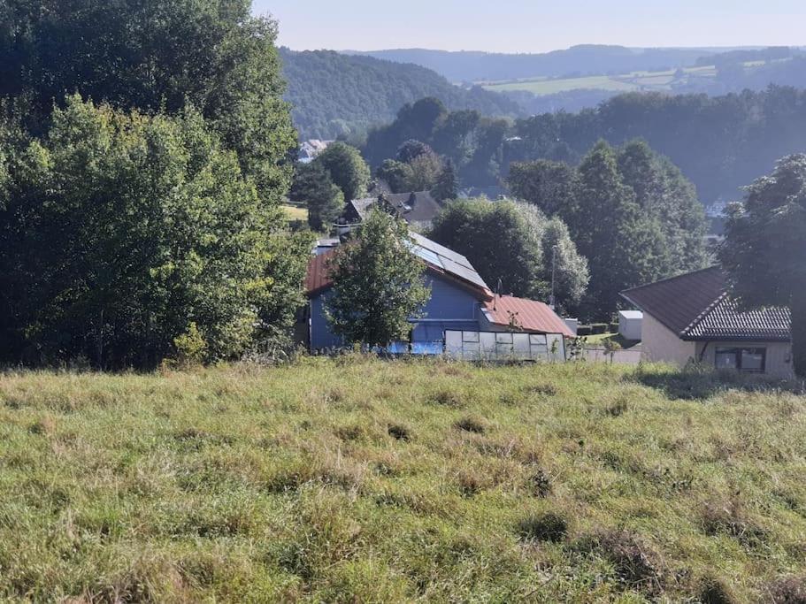 Chalet Holzhaus Nationalpark Eifel Hund Willkommen Hellenthal
