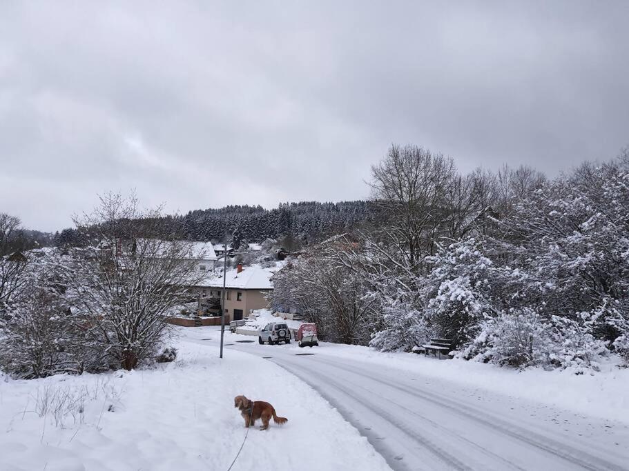 Chalet Holzhaus Nationalpark Eifel Hund Willkommen *